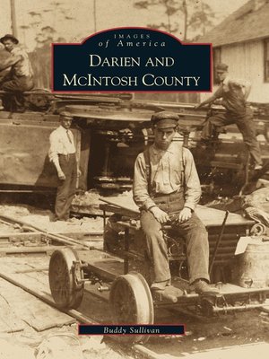 cover image of Darien and McIntosh County